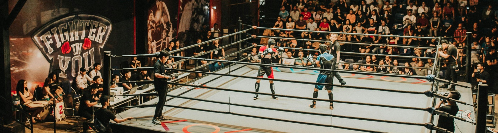 FightReplays - UFC MMA BOXING KICKBOXING Full Fights Replays Free